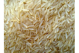 1401 STEAM head rice 